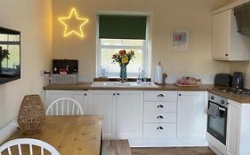 Unique Stay On An Alpaca Therapy Farm With Miniature Donkeys North Wales