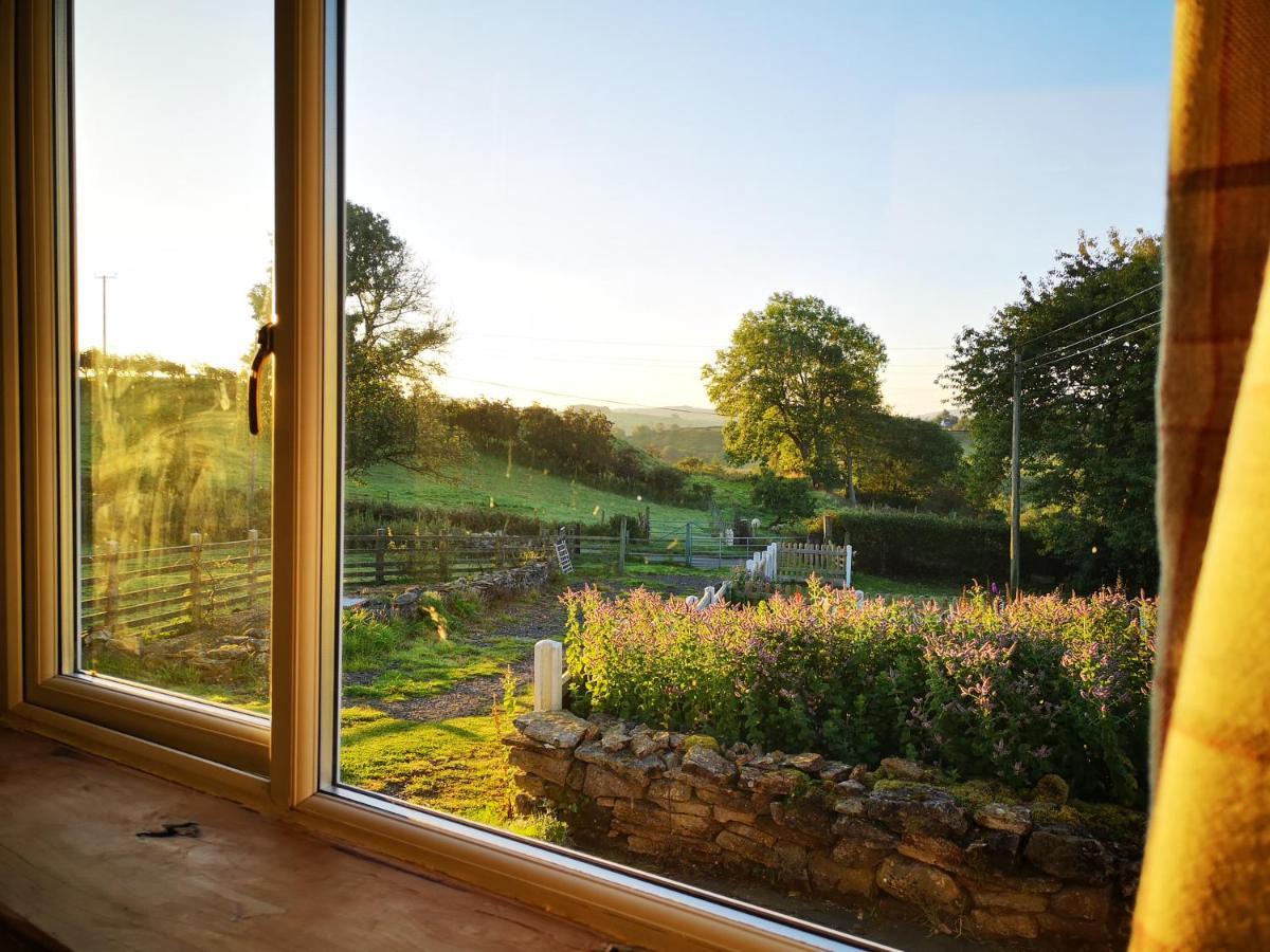 Unique Stay On An Alpaca Therapy Farm With Miniature Donkeys North Wales Mold Exterior photo