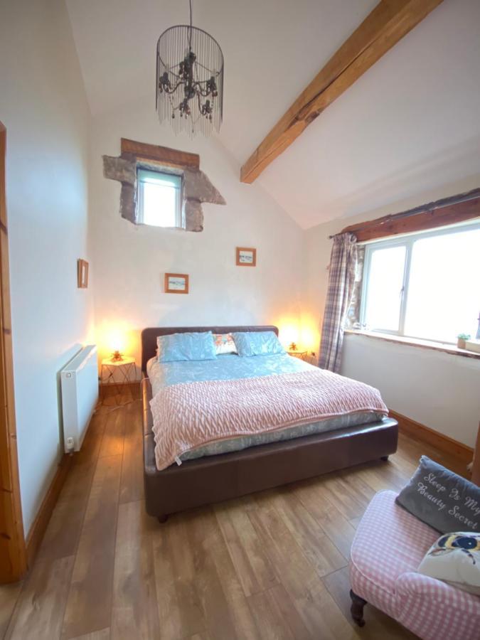 Unique Stay On An Alpaca Therapy Farm With Miniature Donkeys North Wales Mold Exterior photo