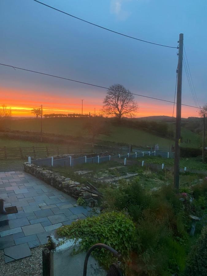 Unique Stay On An Alpaca Therapy Farm With Miniature Donkeys North Wales Mold Exterior photo