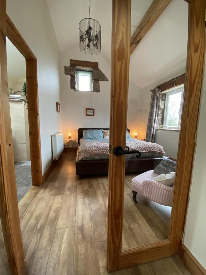 Unique Stay On An Alpaca Therapy Farm With Miniature Donkeys North Wales Mold Exterior photo