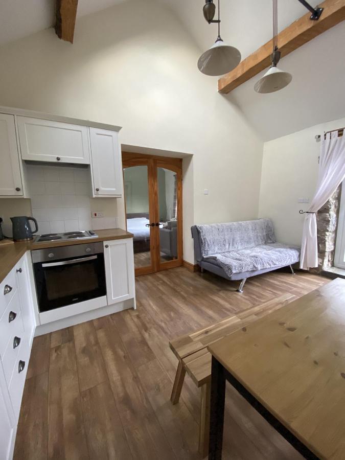 Unique Stay On An Alpaca Therapy Farm With Miniature Donkeys North Wales Mold Exterior photo