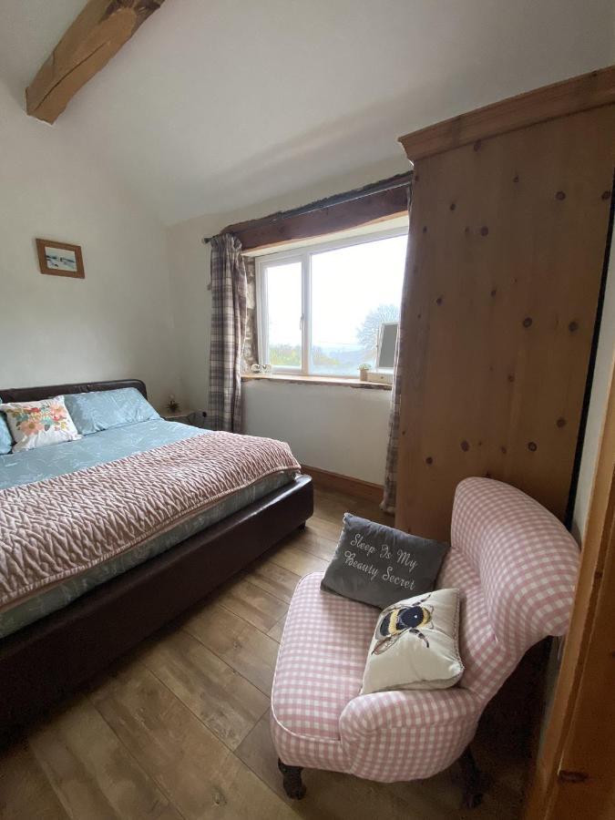 Unique Stay On An Alpaca Therapy Farm With Miniature Donkeys North Wales Mold Exterior photo
