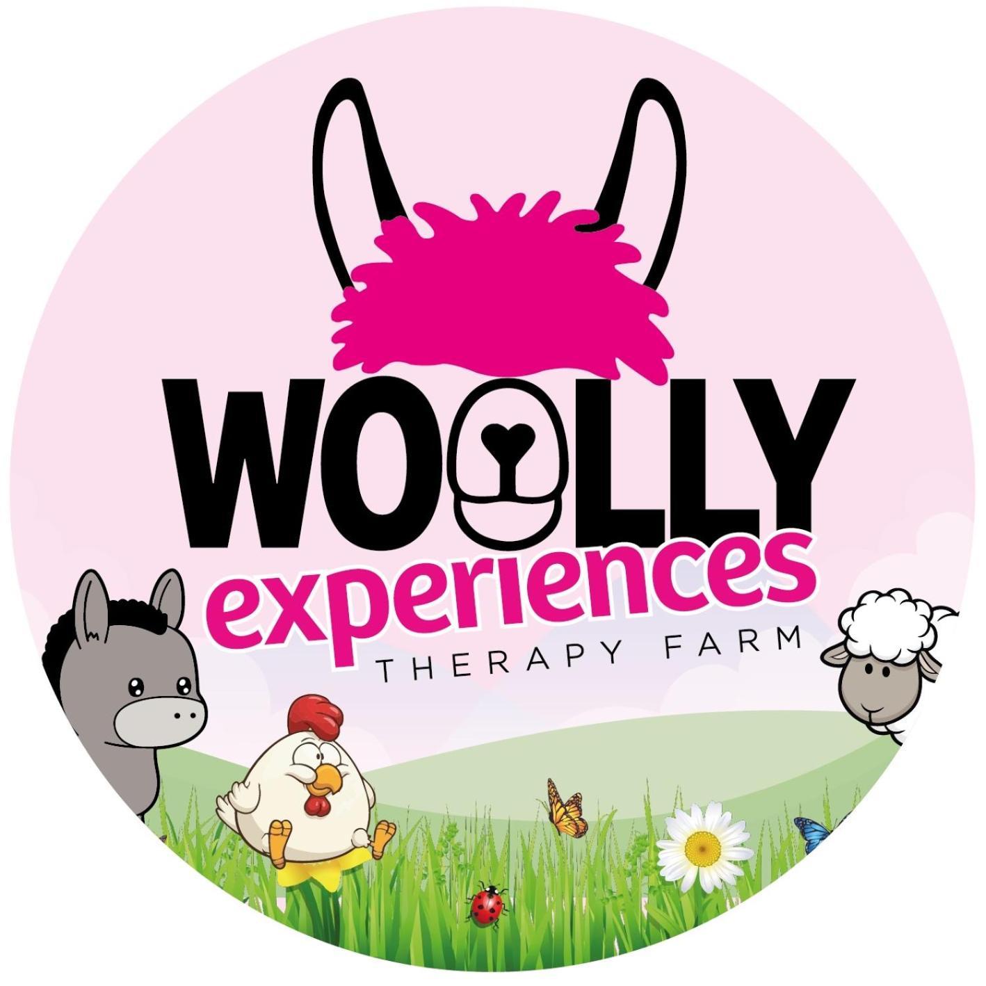 Unique Stay On An Alpaca Therapy Farm With Miniature Donkeys North Wales Mold Exterior photo