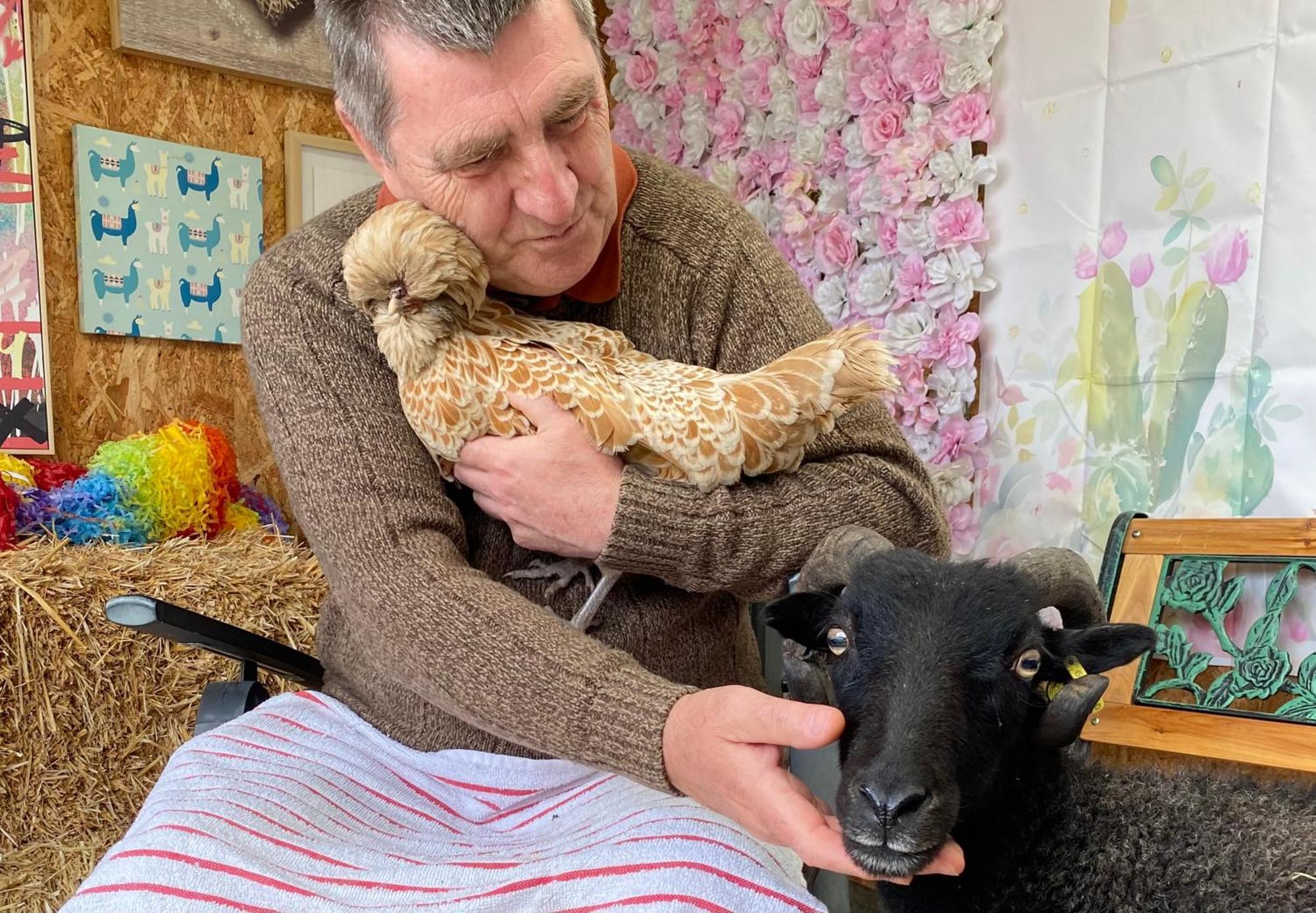 Unique Stay On An Alpaca Therapy Farm With Miniature Donkeys North Wales Mold Exterior photo