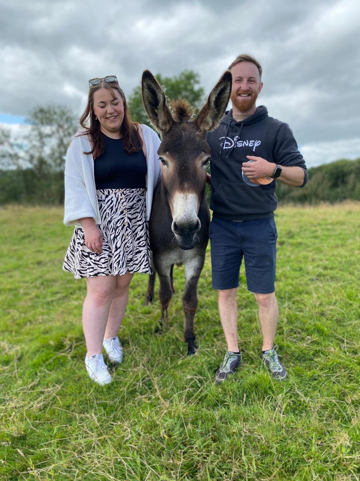 Unique Stay On An Alpaca Therapy Farm With Miniature Donkeys North Wales Mold Exterior photo