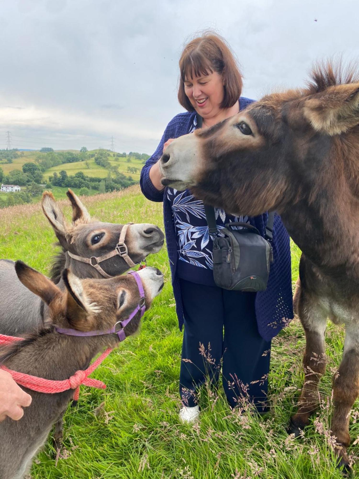 Unique Stay On An Alpaca Therapy Farm With Miniature Donkeys North Wales Mold Exterior photo